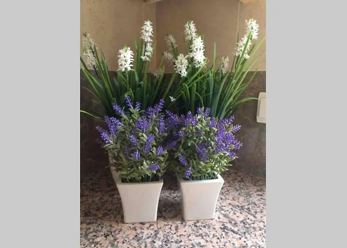 Beautiful Palames Sesimbra