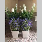 Beautiful Palames Sesimbra