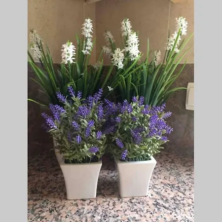 Beautiful Palames Sesimbra